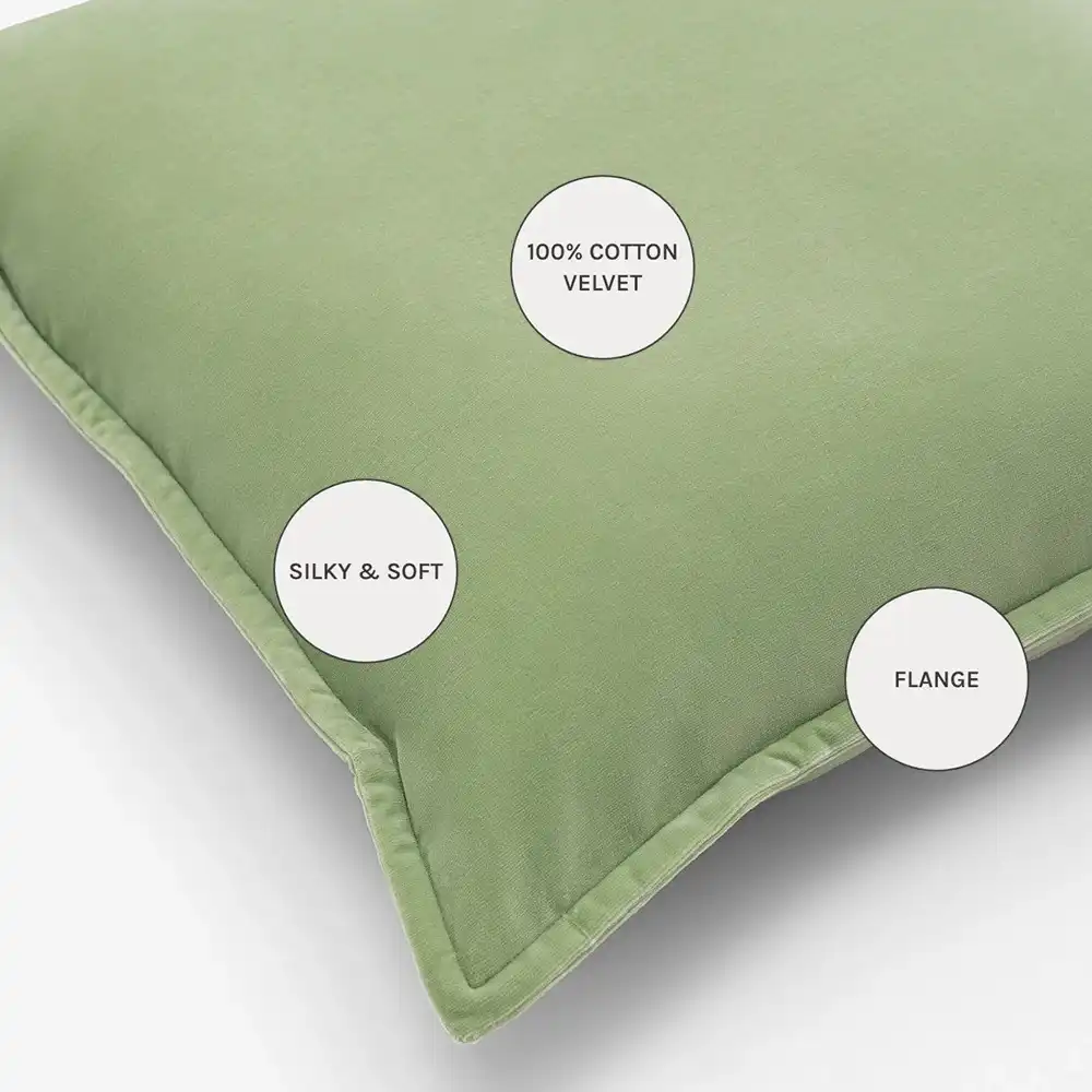 Alessandra Pistachio - Image 5