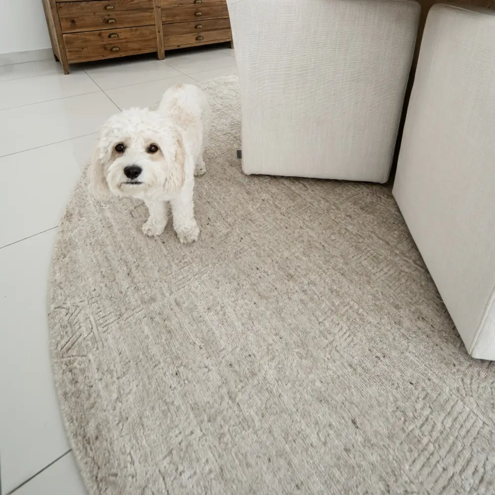 EH Ava Limestone Round - Image 2